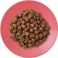 Applaws Cat kuře s kachnou 7,5 kg - Granule pro kočky, krmivo pro kočky