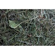 Dáme seno otava bio 800 g - Seno