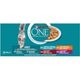 Purina ONE Adult Minifiletky jehněčí, mořské ryby, kuře a hovězí 40 × 85 g - Konzervy pro kočky