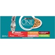 Purina ONE Sterilcat Minifiletky hovězí, kuře, losos a krůta 40 × 85 g - Konzervy pro kočky