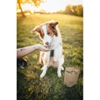Ecopets Parazit Plus 100 g - Vitamíny, minerály a doplňky výživy