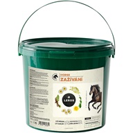 Leros Horse Zažívání 1 kg - Kůň