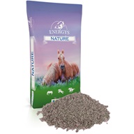 ENERGYS Cukrovarské řízky sypké 20 kg - Kůň