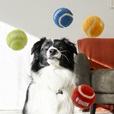 KONG Sport Softies Balls M mix barev - Hračky pro psy
