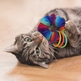 KONG Active Scrunchie - Hračky pro kočky, catnip