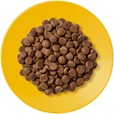 Applaws Cat Senior kuře 400 g - Granule pro kočky, krmivo pro kočky