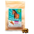 Zelená země Konopný pamlsek pro koně s mrkví 500 g - Kůň