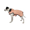 Samohýl Exclusive Freya vesta růžová 70 cm - Oblečky pro psy: vesty, bundy, kombinézy