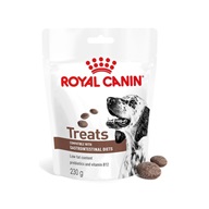 Royal Canin VET Dog Gastrointestinal Treats 230 g - Pamlsky pro psy