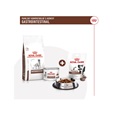 Royal Canin VET Dog Gastrointestinal Treats 230 g - Veterinární diety pro psy