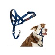 Company of Animals Halti Headcollar 3 modrá - Výcvikové pomůcky