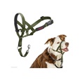 Company of Animals Halti Headcollar 1 zelená - Výcvikové pomůcky