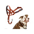 Company of Animals Halti Headcollar 1 oranžová - Výcvikové pomůcky