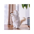 Quapas! Nature B vábnička - Hračky pro kočky, catnip