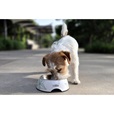 Platinum Mini Puppy Chicken 900 g - Granule pro psy