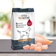 Platinum Vetactive Senior 5 kg - Granule pro psy