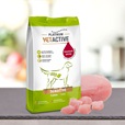 Platinum Vetactive Sensitive 5 kg - Granule pro psy