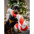 Rosewood Cupid & Comet Candy Cane - Hračky pro psy
