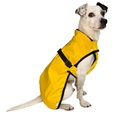 Samohýl Exclusive Kazi II vesta žlutá 55 cm - Oblečky pro psy: vesty, bundy, kombinézy