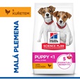 Hill's Science Plan Canine Puppy Small & Mini Chicken 6 kg - Granule pro psy