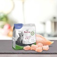 Platinum MeatCrisp Kitten Chicken 400 g - Granule pro kočky, krmivo pro kočky