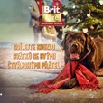 Brit Care Christmas Rabbit with Turkey 400 g - Konzervy pro psy