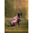 Non-stop dogwear Glacier 3.0 bunda fialová 60 cm - Oblečky pro psy: vesty, bundy, kombinézy