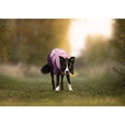 Non-stop dogwear Glacier 3.0 bunda fialová 80 cm - Oblečky pro psy: vesty, bundy, kombinézy