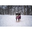 Non-stop dogwear Glacier 3.0 bunda fialová 80 cm - Oblečky pro psy: vesty, bundy, kombinézy