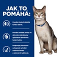 Hill's Prescription Diet Feline Kidney Care k/d Salmon 1,5 kg - Granule pro kočky, krmivo pro kočky
