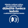 Hill's Prescription Diet Feline Kidney Care k/d Salmon 1,5 kg - Granule pro kočky, krmivo pro kočky