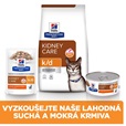 Hill's Prescription Diet Feline Kidney Care k/d Salmon 400 g - Granule pro kočky, krmivo pro kočky