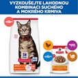 Hill's Science Plan Feline Adult Salmon 10 kg - Granule pro kočky, krmivo pro kočky