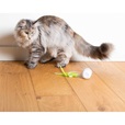 Ebi Racing Roller - Hračky pro kočky, catnip