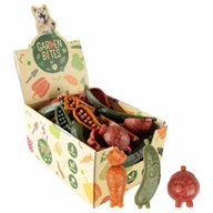 Garden Bites Veggie Buddies M display 60 ks - Žvýkačky