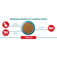 Purina ONE Bifensis Sterilcat s hovězím 3 kg - Granule pro kočky, krmivo pro kočky