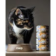 Marp Cat Holistic Plus Tuna Pate with Sardine 24 × 70 g - Konzervy pro kočky