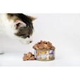 Marp Cat Holistic Plus Tuna Pate with Shrimp 24 × 70 g - Konzervy pro kočky