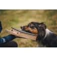 Loype škrabadlo & target Mani-Pedi - Výcvikové pomůcky