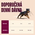 Carnilove Active Dog Salmon & Turkey Small Breed 12 kg - Granule pro psy