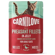 Carnilove Cat Pheasant Fillets in Jelly with Raspberry Leaves 85 g - Kapsičky pro kočky