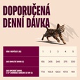 Carnilove Cat Paté Turkey & Salmon Kitten 100 g - Konzervy pro kočky