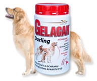 Gelacan plus Darling plv 500g - Kosti a klouby