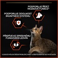 Pro Plan Cat Adult Vital Functions losos 3 kg - Akční nabídka