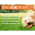 Friskies Balance 15 kg - Granule pro psy