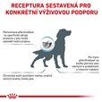 Royal Canin VD Dog Dry Hypoallergenic 2 kg - Granule pro psy
