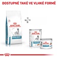 Royal Canin VD Dog Dry Hypoallergenic 2 kg - Granule pro psy
