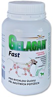 Gelacan Fast plv 150g - Kosti a klouby