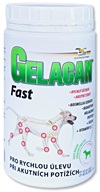 Gelacan Fast plv 500g - Kosti a klouby