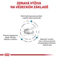Royal Canin VD Dog Dry Hypoallergenic Small HDS24 1 kg - Veterinární diety pro psy